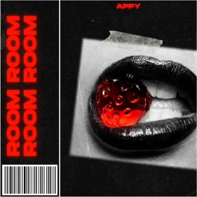 Appy – Room Download MP3