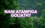 AUDIO | Sifaeli Mwabuka – Nani Atampiga Goliath | Download Mp3 Sifaeli Mwabuka – Nani Atampiga Goliath
