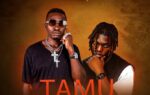 Doncha Ft. Ucho – TAMU