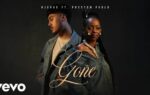 Njerae Ft Preston Pablo – Gone