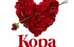 Reyd TZ – Kopa