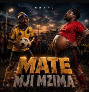 Ndaro – Mate Mji Mzima