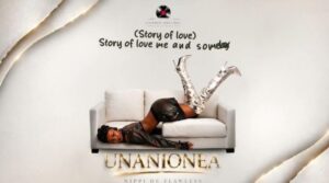 Nippi De Flawless – Unanionea
