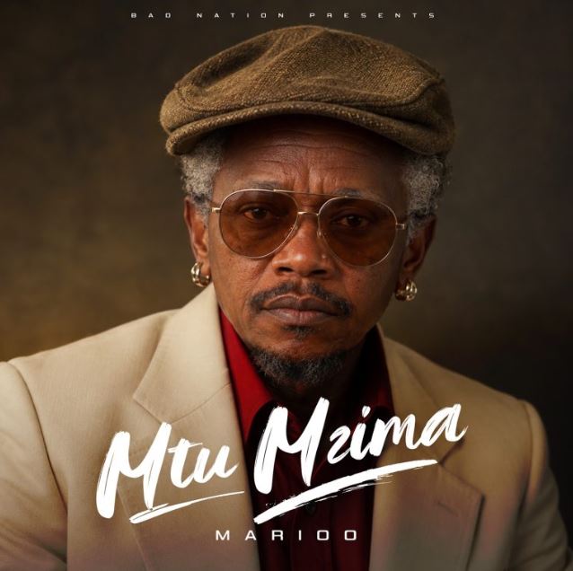 AUDIO | Marioo – Mtu Mzima | Download Mp3