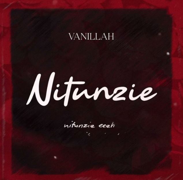 AUDIO | Vanillah – Nitunzie | Download Mp3